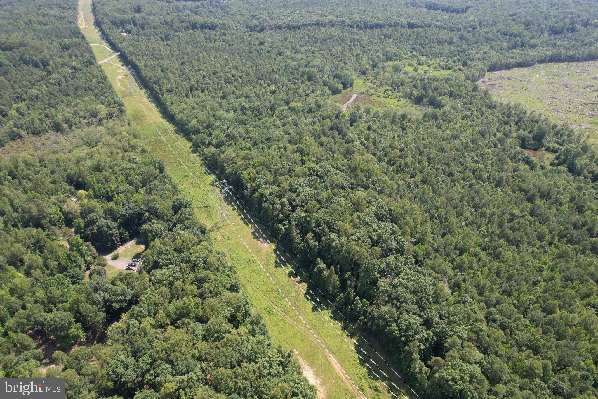 0 Countyline Church Road Woodford, VA 22580 - Photo 9 of 25 a view of a yard with a plants