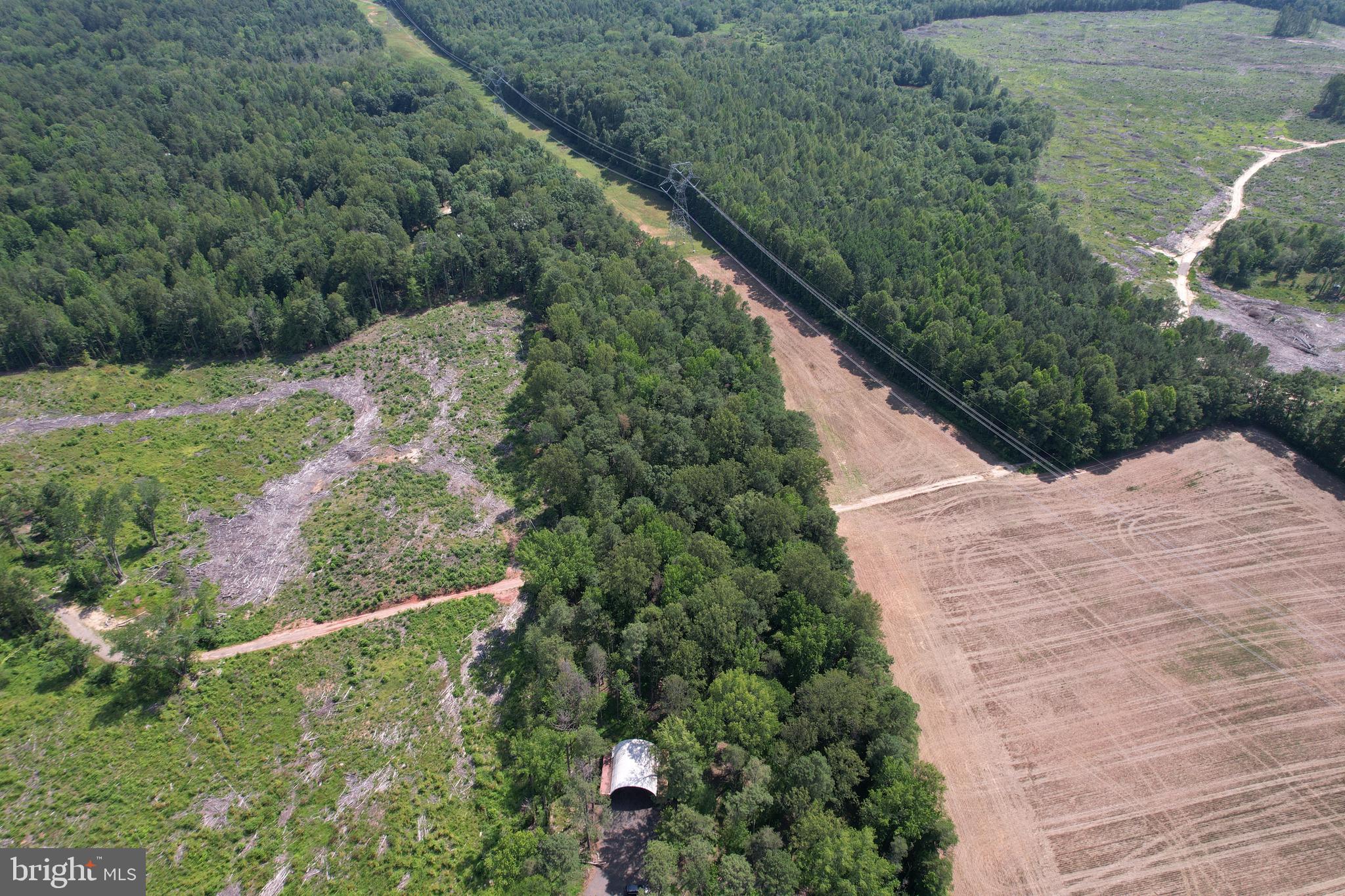 0 Countyline Church Road Woodford, VA 22580 - Photo 10 of 25 a view of a yard with plants