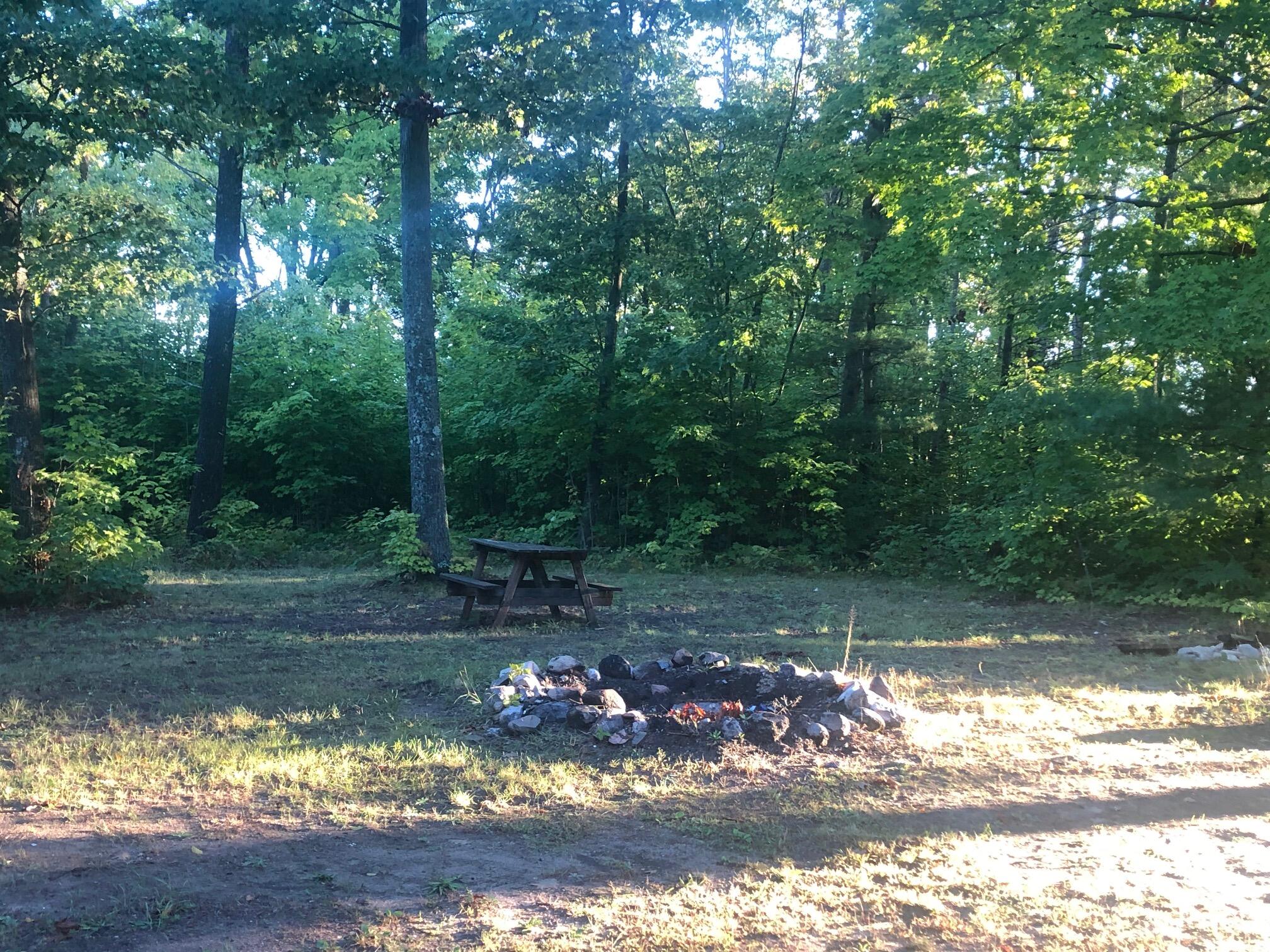 8054 Marilla Road Copemish, MI 49625 - Photo 6 of 57 IMG_0840