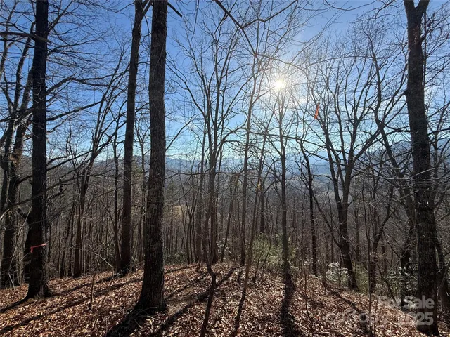 $95,111 | 12-13 Brer Rabbit Trail, Unit 12 13 27, Waynesville, NC 28785