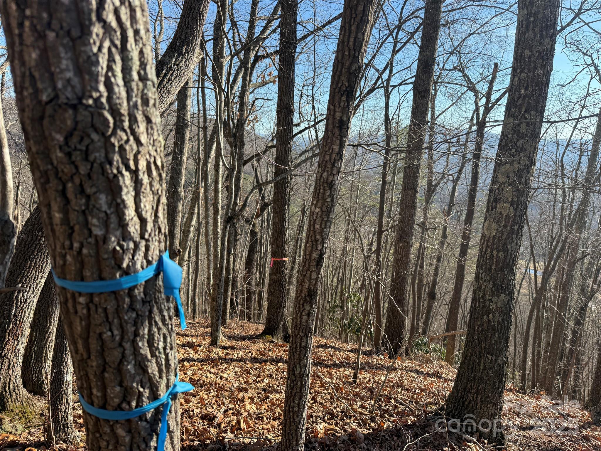 12-13 Brer Rabbit Trail, Unit 12 13 27 Waynesville, NC 28785 - Photo 9 of 18 a view of outdoor space with seating area