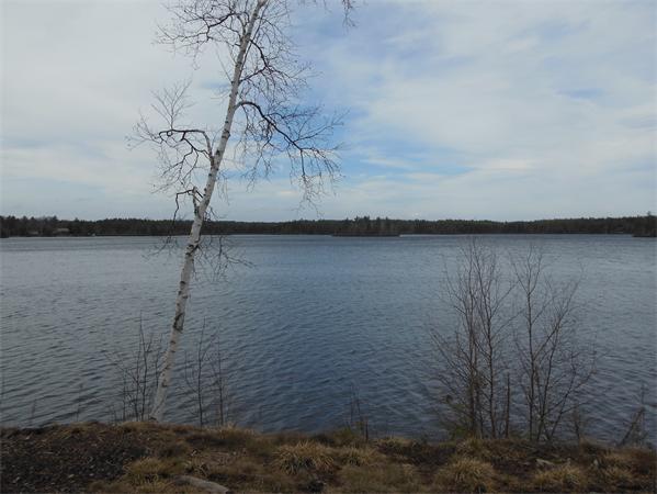16 Wyman Road Ashburnham, MA 01430 - Photo 3 of 8