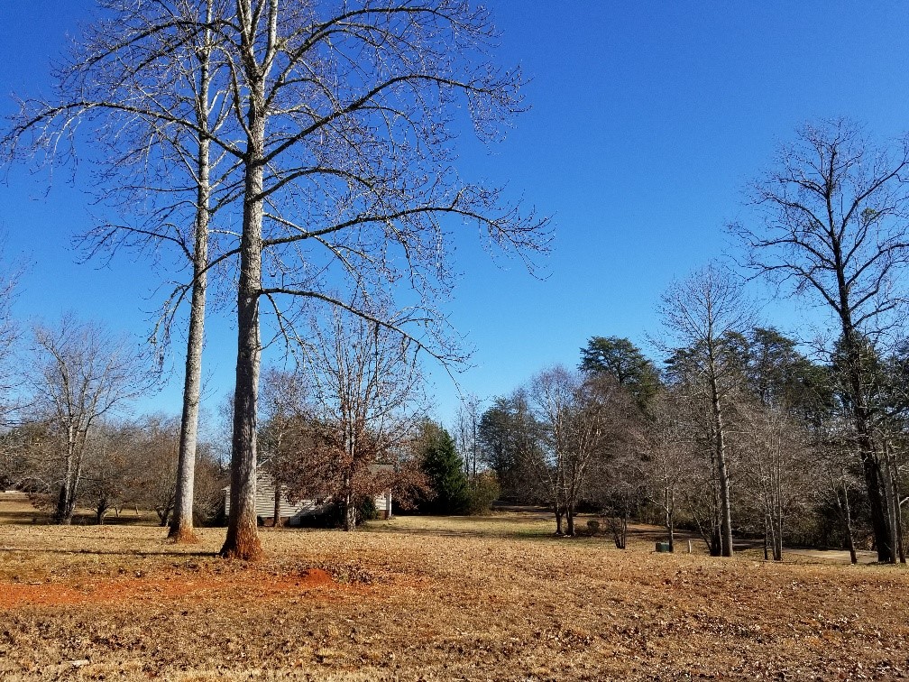 104 Falcons View Court Walhalla, SC 29691 - Photo 1 of 4 Gallery Image 1