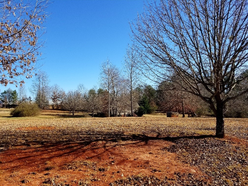 104 Falcons View Court Walhalla, SC 29691 - Photo 2 of 4 Gallery Image 2