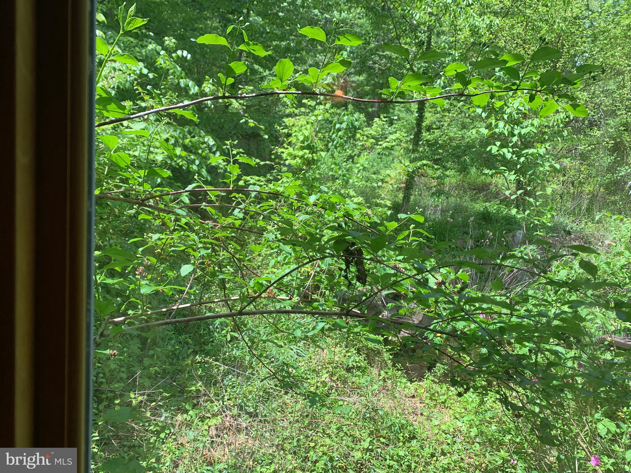 1150 Fitzwatertown Road Dresher, PA 19025 - Photo 28 of 44 View from 3rd bedroom window