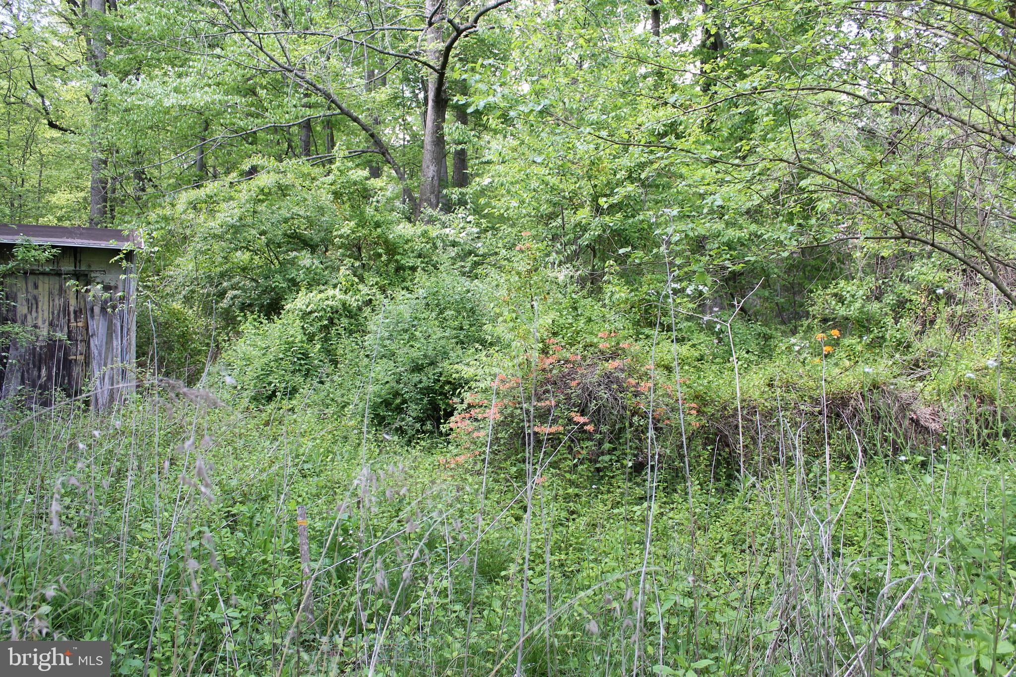 1150 Fitzwatertown Road Dresher, PA 19025 - Photo 36 of 44