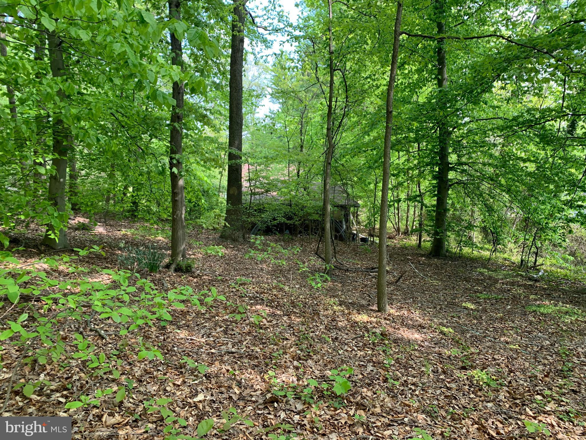 1150 Fitzwatertown Road Dresher, PA 19025 - Photo 38 of 44 Rear yard