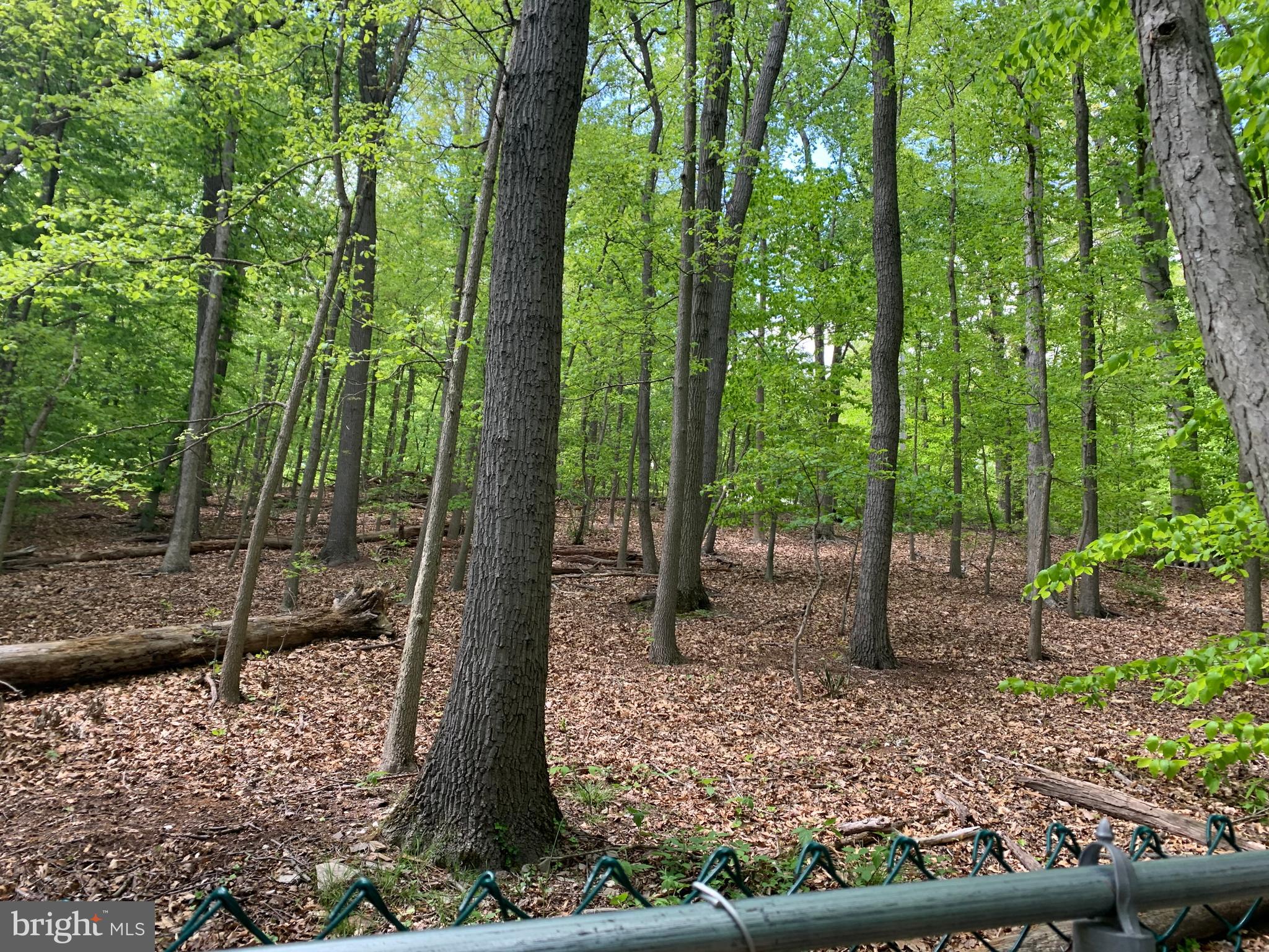 1150 Fitzwatertown Road Dresher, PA 19025 - Photo 39 of 44 Rear yard