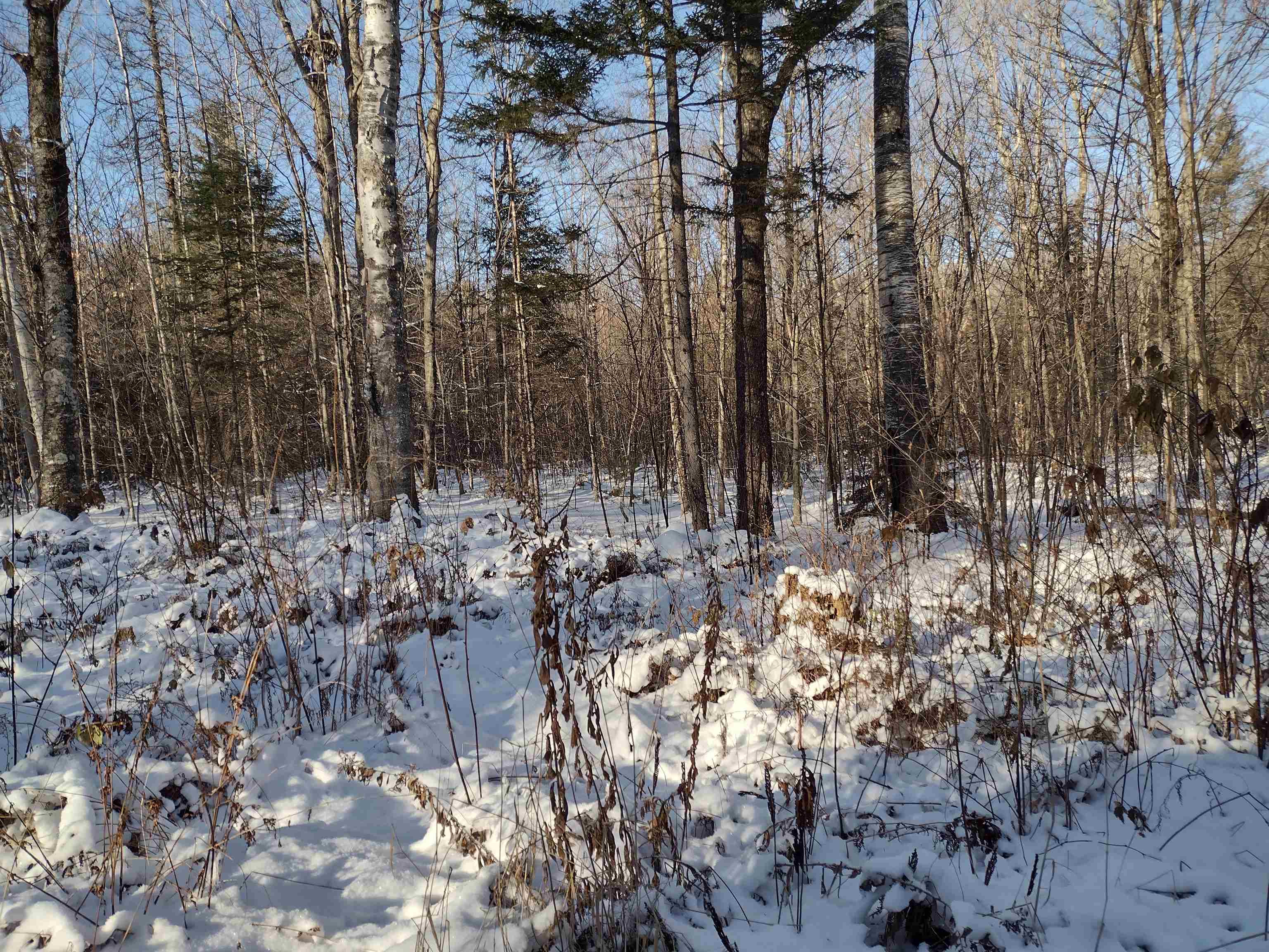 0 Stinson/cross/camp Road Rumney, NH 03266 - Photo 11 of 14