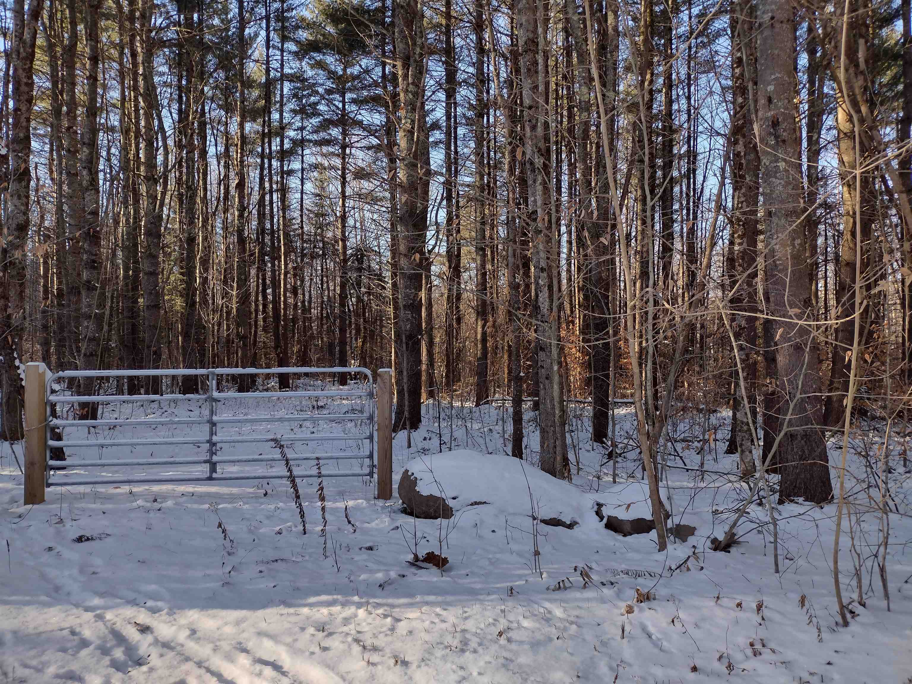 0 Stinson/cross/camp Road Rumney, NH 03266 - Photo 3 of 14