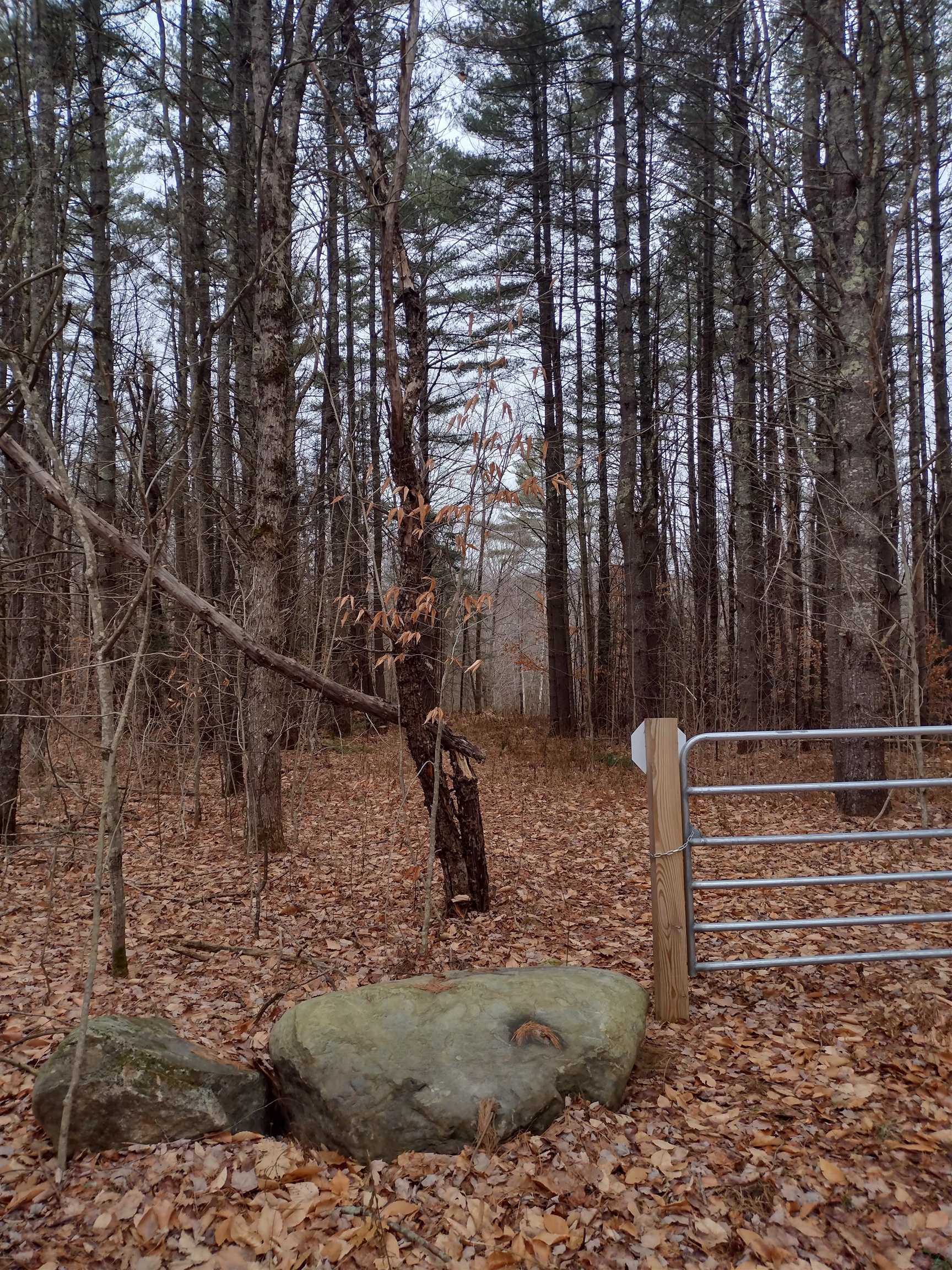 0 Stinson/cross/camp Road Rumney, NH 03266 - Photo 4 of 14