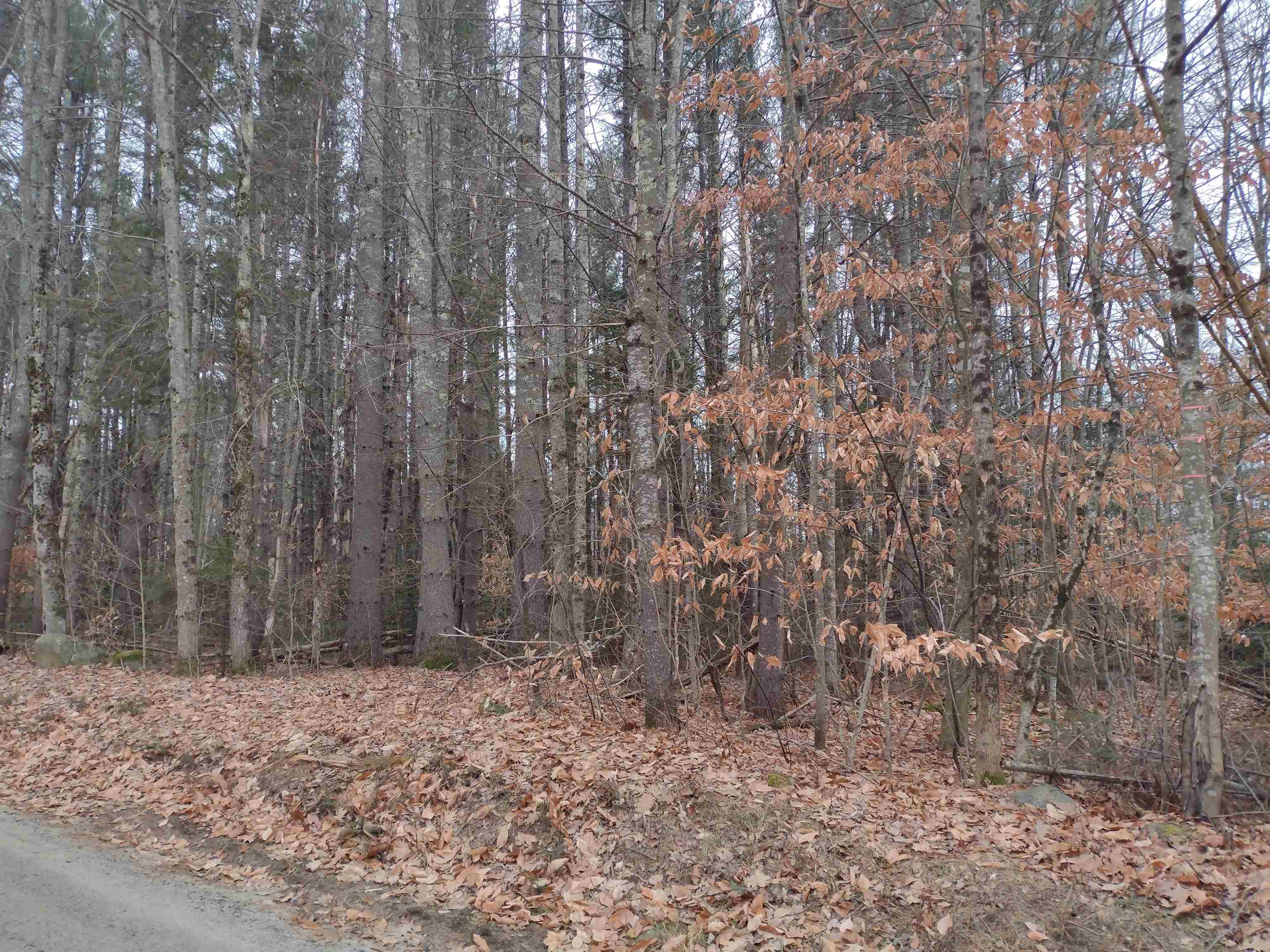 0 Stinson/cross/camp Road Rumney, NH 03266 - Photo 5 of 14