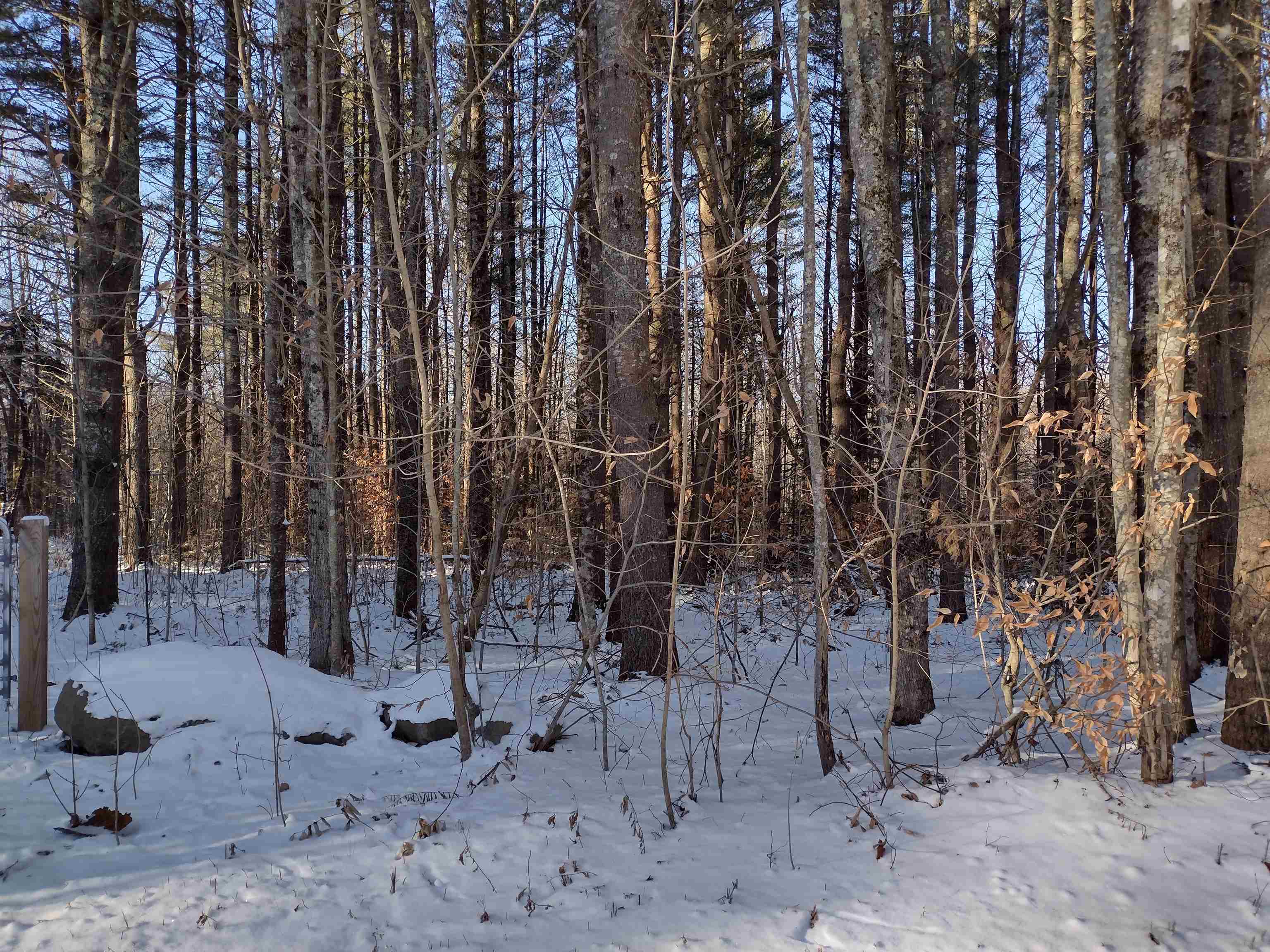 0 Stinson/cross/camp Road Rumney, NH 03266 - Photo 8 of 14