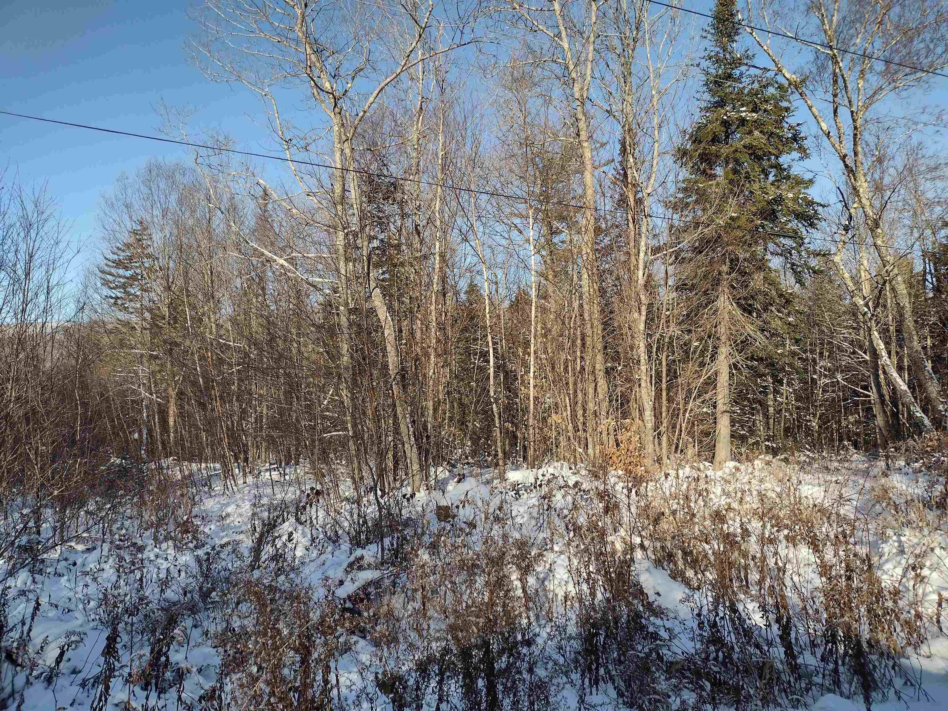 0 Stinson/cross/camp Road Rumney, NH 03266 - Photo 10 of 14