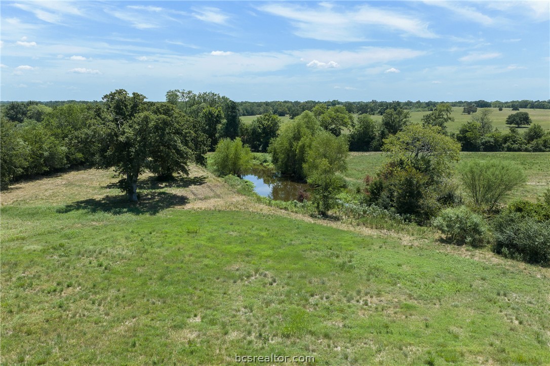 3675 Zulch Road North Zulch, TX 77872 - Photo 9 of 21 Gallery Image 9