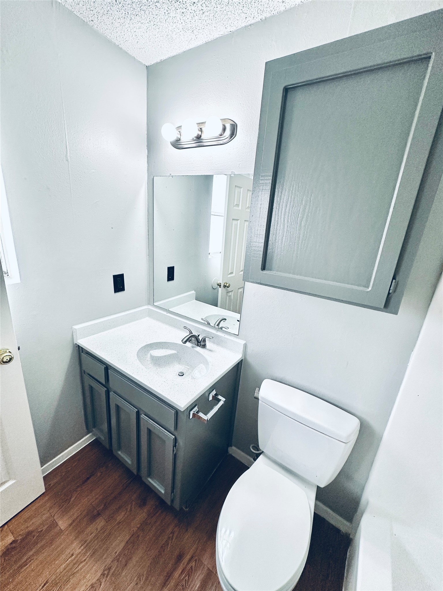 3702 South 2nd Street, Unit 321 Austin, TX 78704 - Photo 13 of 13 Bathroom with vanity, dark wood finished floors, and a textured ceiling