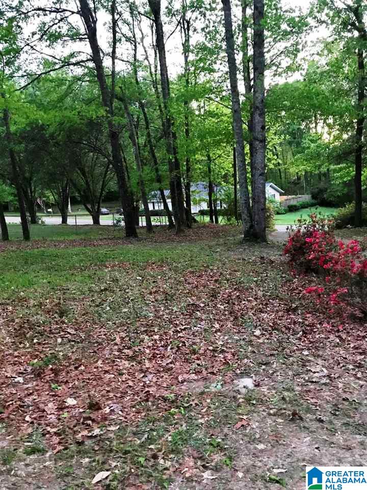 263 Cauthen Circle Roanoke, AL 36274 - Photo 9 of 28