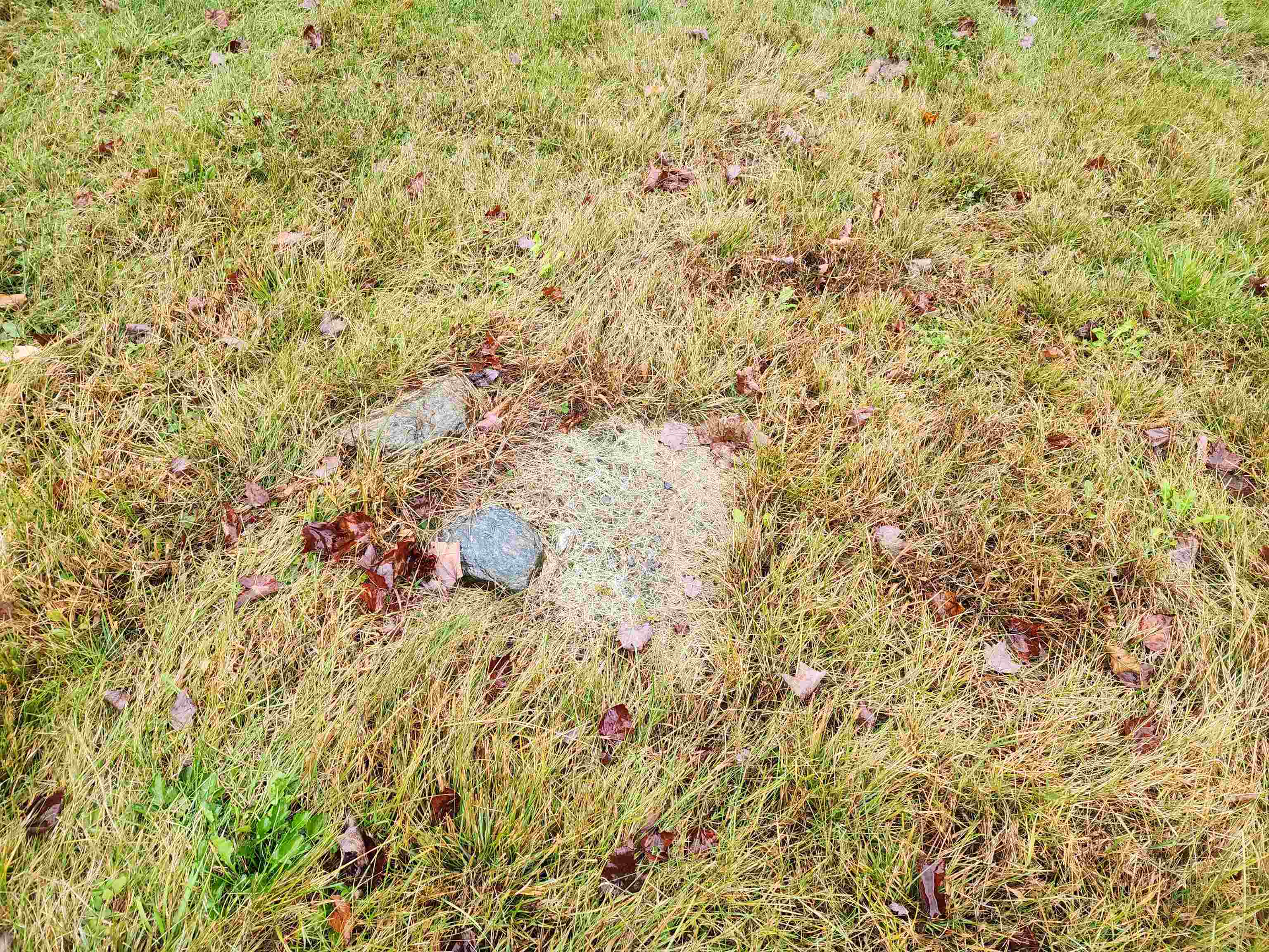 603 West Hill Road Middlesex, VT 05682 - Photo 6 of 9