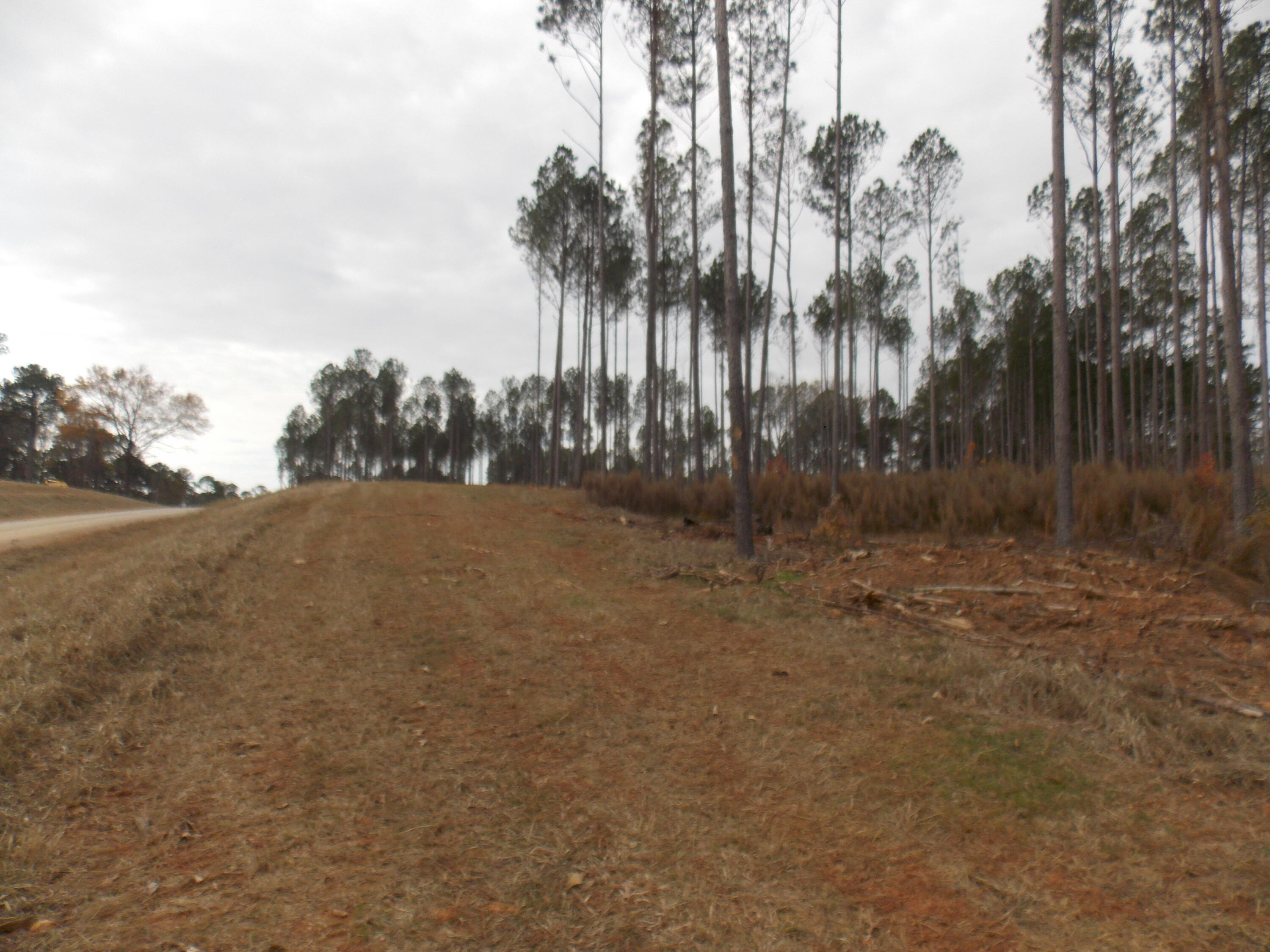 2 East Mosley Road Lincolnton, GA 30817 - Photo 2 of 3 DSCN3441