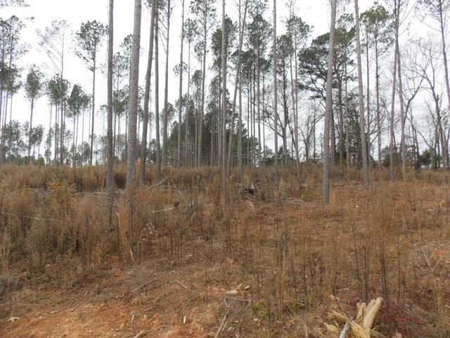 $117,150 | 2 East Mosley Road, Lincolnton, GA 30817