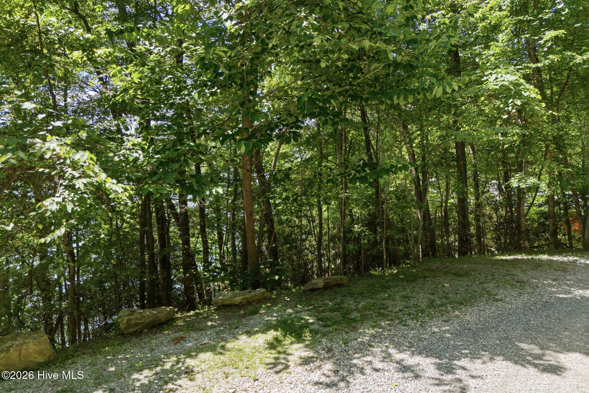 820 Chimney Ridge Road Topton, NC 28781 - Photo 62 of 73