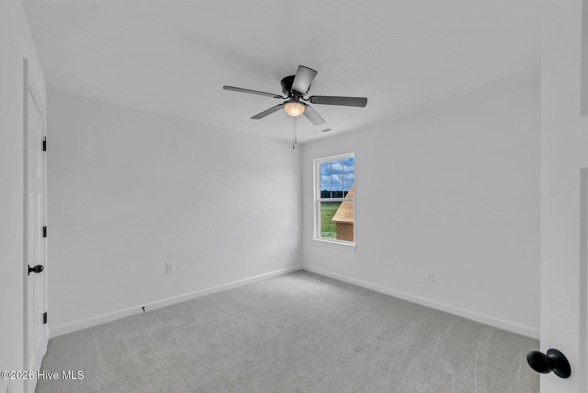 121 Copper Run Loop South Mills, NC 27976 - Photo 4 of 13 51-web-or-mls-DSC_9633