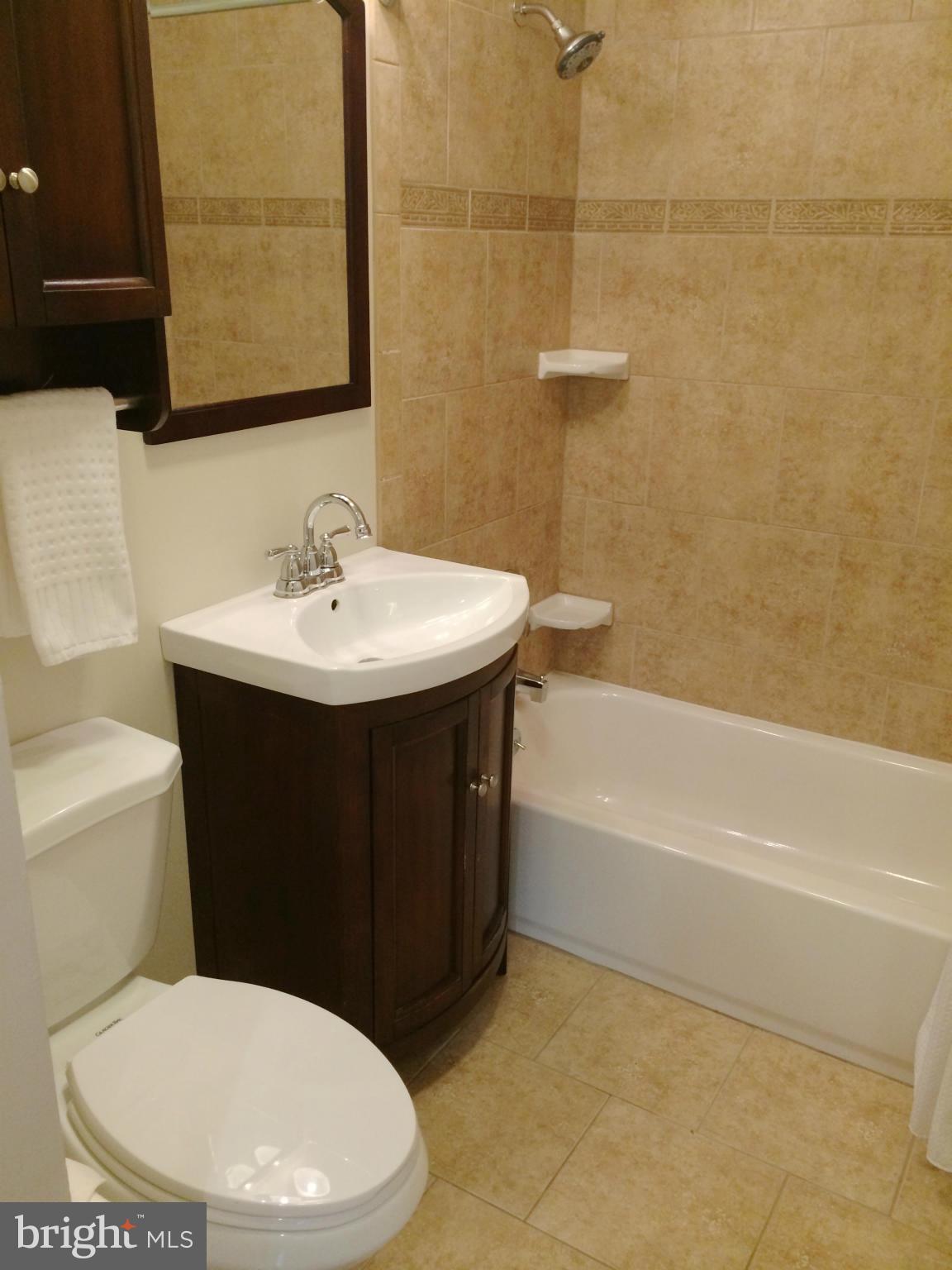 2204 Coppersmith Square Reston, VA 20191 - Photo 18 of 30 Bath (Master)