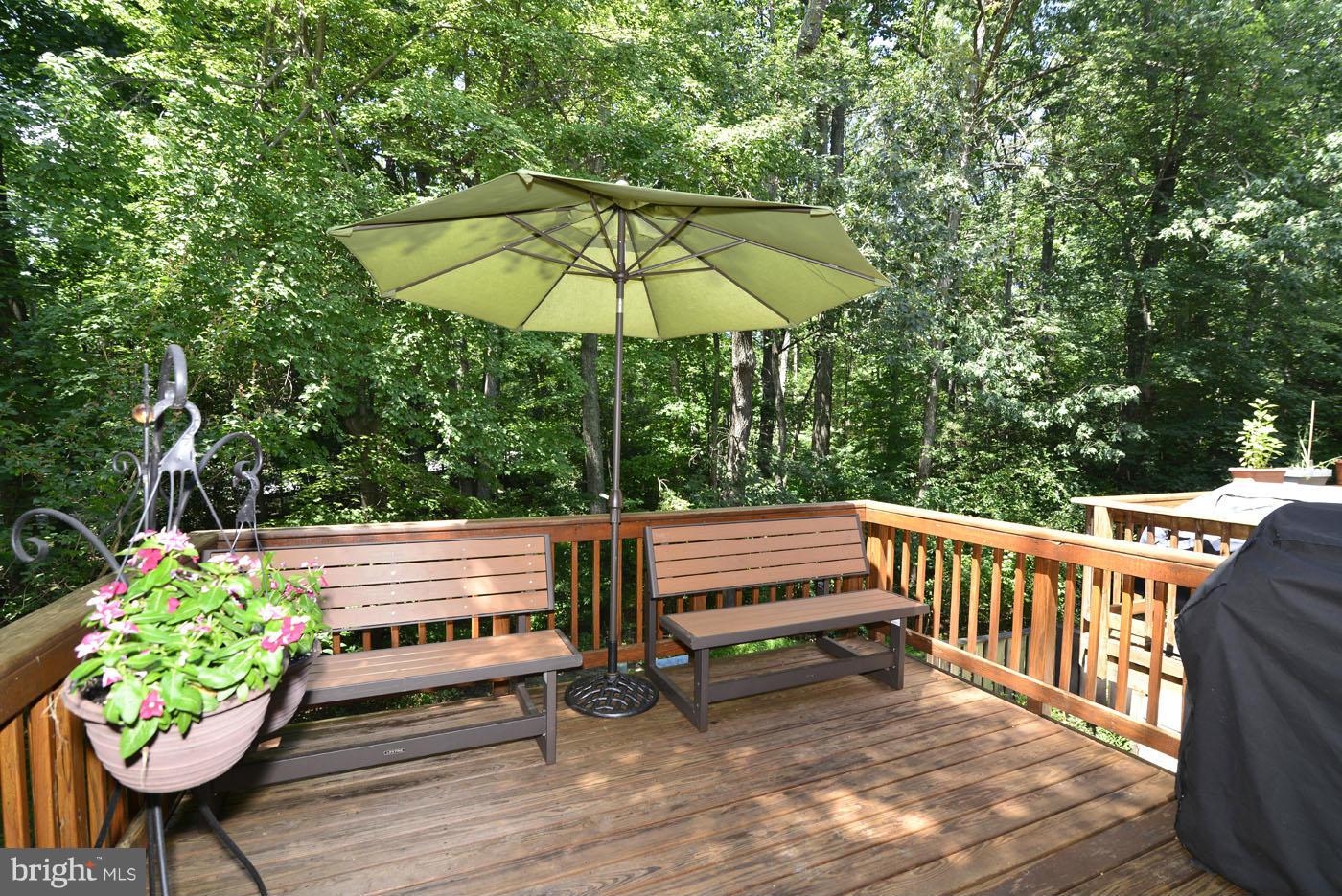 2204 Coppersmith Square Reston, VA 20191 - Photo 27 of 30 Exterior (Rear)
