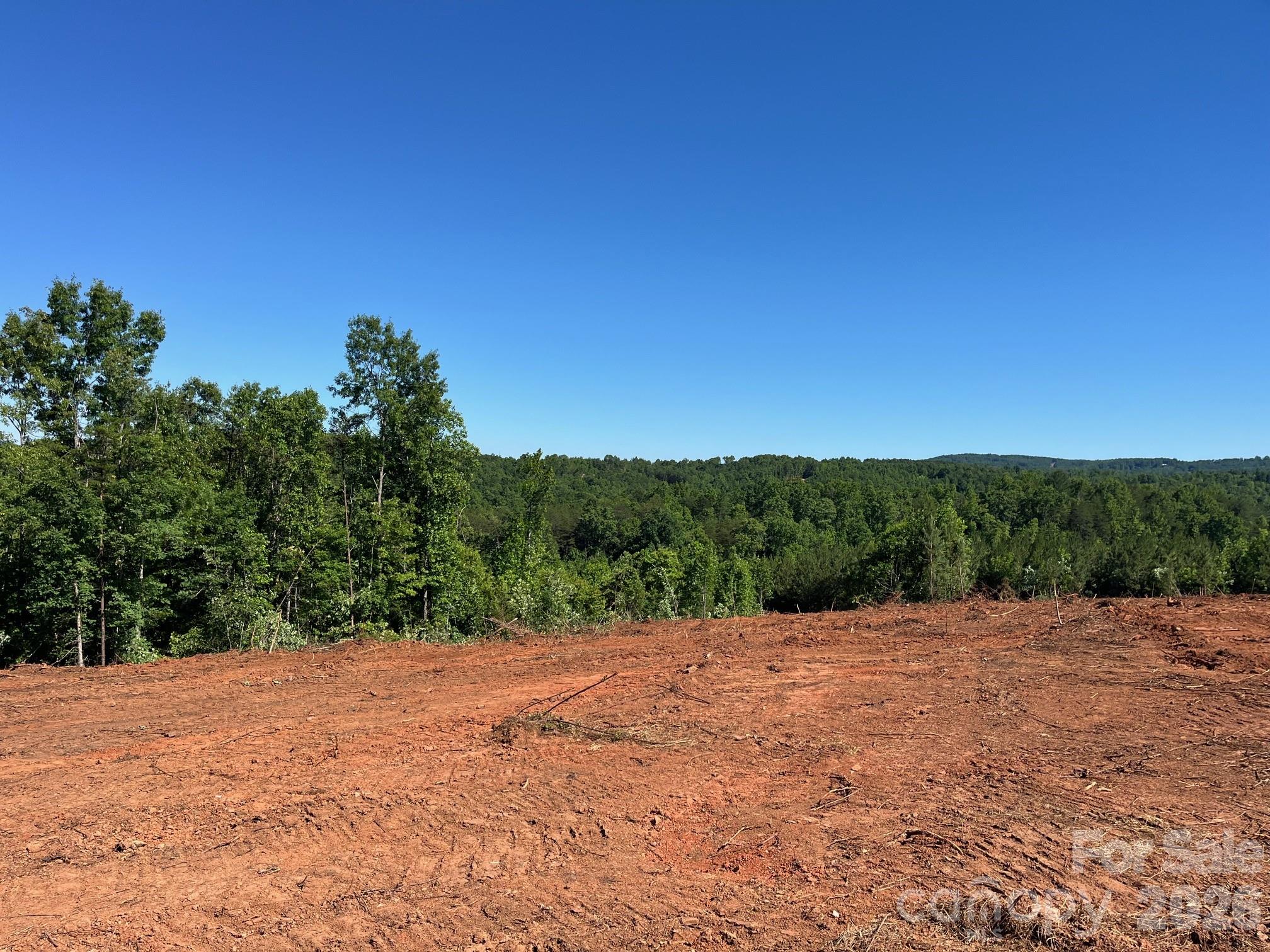 Tbd Vein Mountain Road, Unit 20 Nebo, NC 28761 - Photo 11 of 17