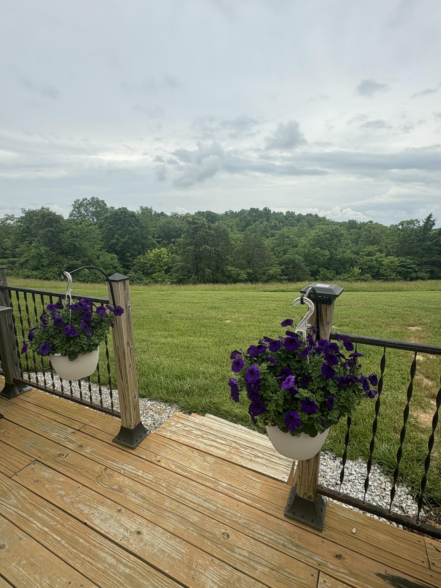 4080 Pleasant Grove Road Corinth, KY 41010 - Photo 25 of 28