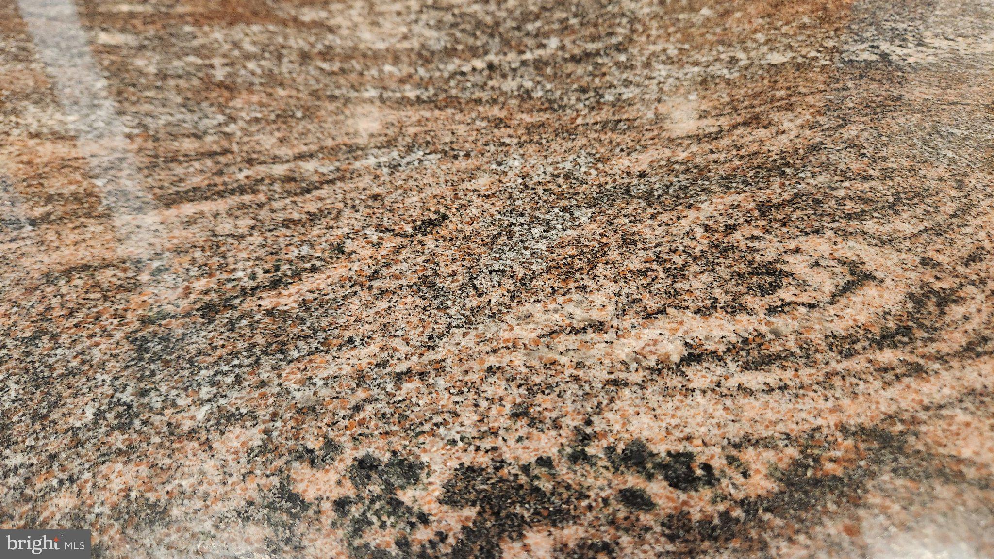 9855 McKinstry Mill Road New Windsor, MD 21776 - Photo 15 of 76 Elegant granite with rich textures.