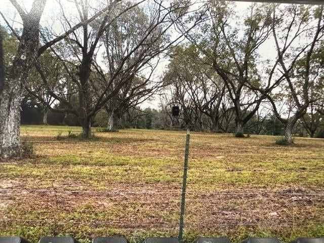 19360 Chance Road Florala, AL 36442 - Photo 2 of 3 Gallery Image 2