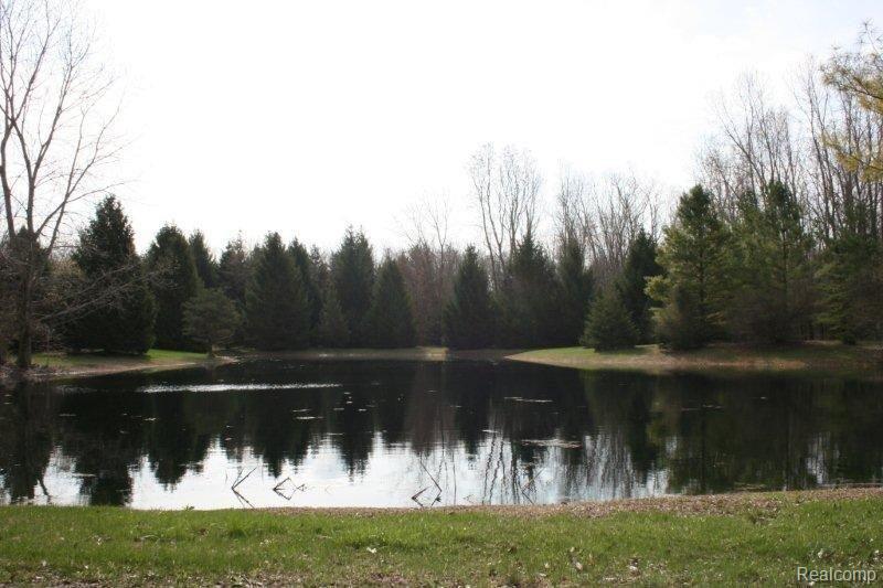5955 Secor Road Ida, MI 48140 - Photo 18 of 23 IMG_6695.jpg