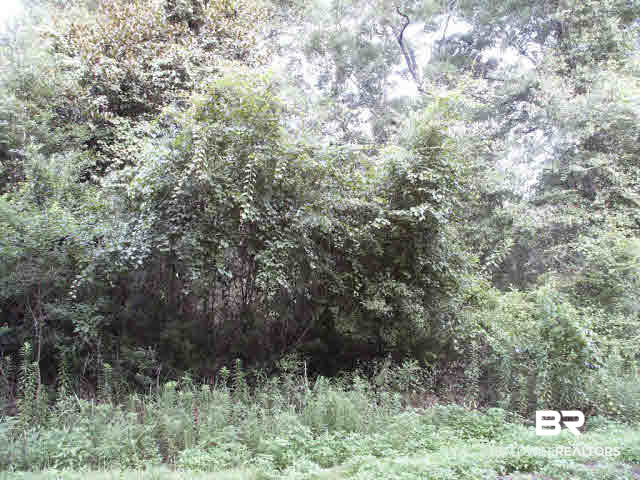 12807 7th Street Lillian, AL 36549 - Photo 3 of 8 Wooded Lot