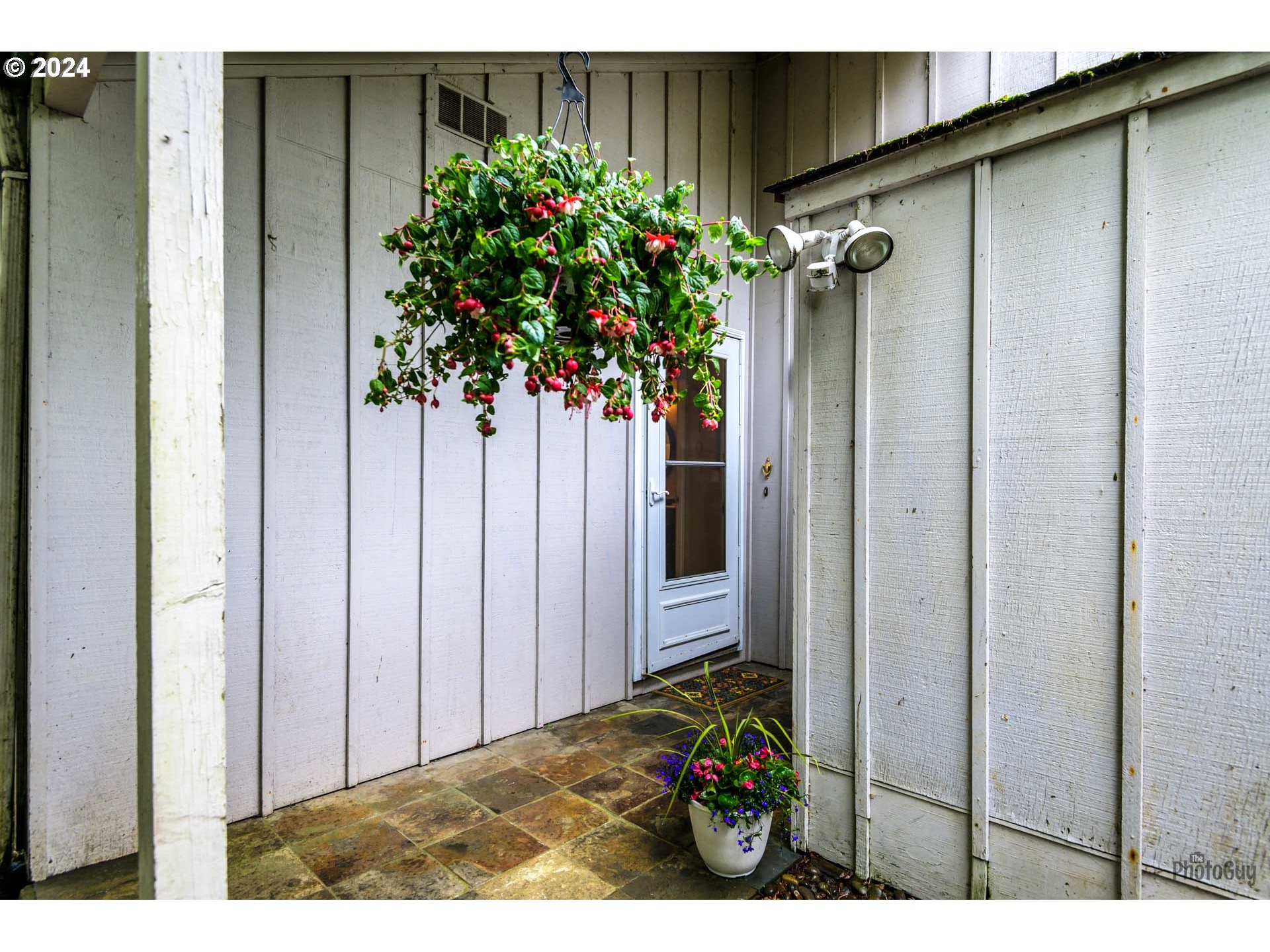 a view of a potted plant in front of a door