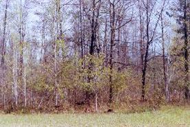 13190 Graf Road Brethren, MI 49619 - Photo 5 of 9 Additional Photo