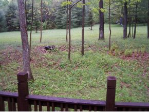 801 Gage Road Newark Valley, NY 13827 - Photo 3 of 12 Gallery Image 3