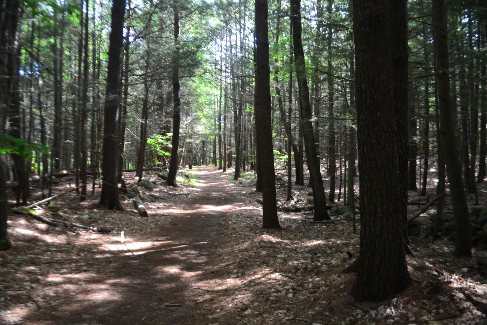 451 Raymond Road Chester, NH 03036 - Photo 1 of 11