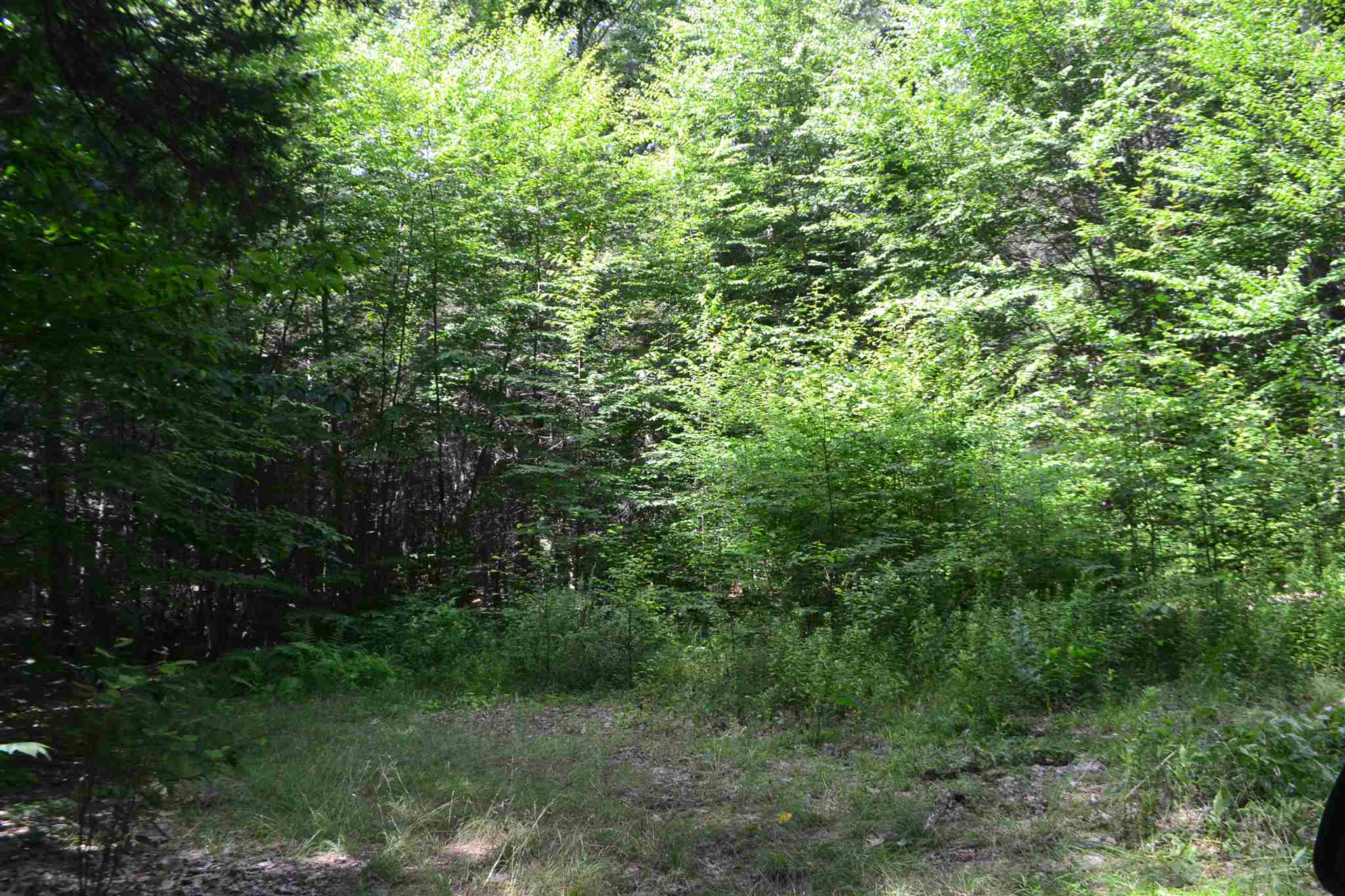 451 Raymond Road Chester, NH 03036 - Photo 11 of 11