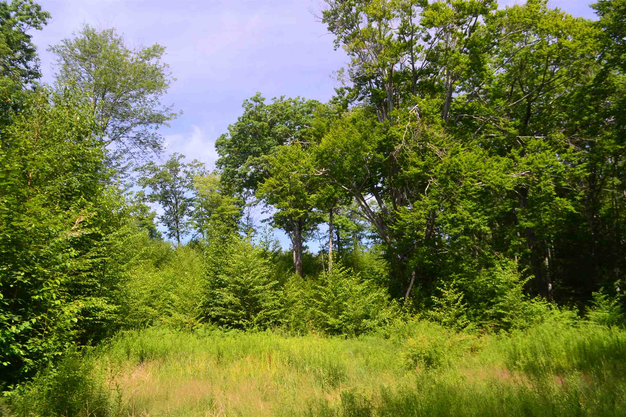 451 Raymond Road Chester, NH 03036 - Photo 7 of 11