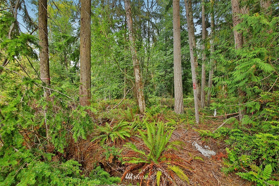 5143 Bayview Road Langley, WA 98260 - Photo 3 of 4 Gallery Image 3