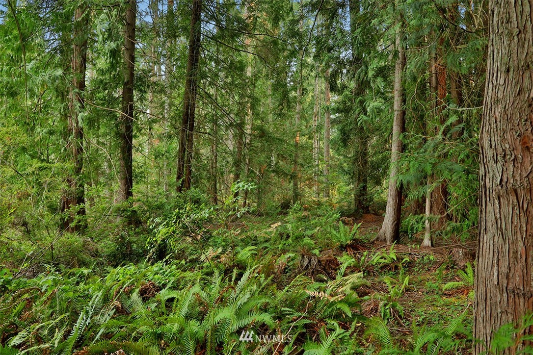 5143 Bayview Road Langley, WA 98260 - Photo 4 of 4 Gallery Image 4