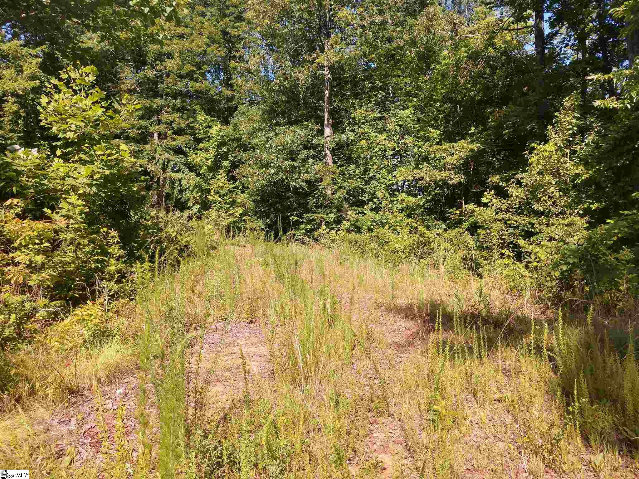 158 Trammell Road Marietta, SC 29661 - Photo 8 of 8