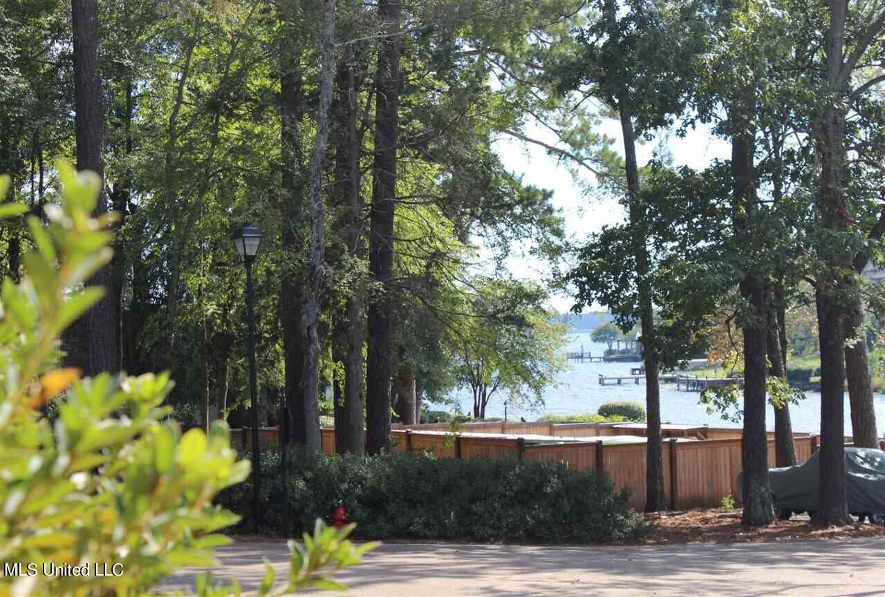 water view from patio and kitchen