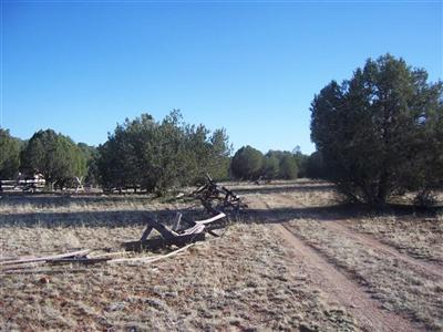 17 South Indian Springs Road Ash Fork, AZ 86320 - Photo 1 of 5 Primary Photo