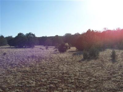17 South Indian Springs Road Ash Fork, AZ 86320 - Photo 3 of 5 Additional Photo
