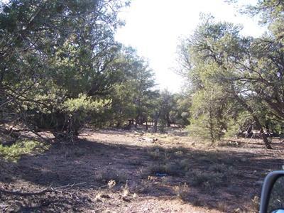 17 South Indian Springs Road Ash Fork, AZ 86320 - Photo 4 of 5 Additional Photo