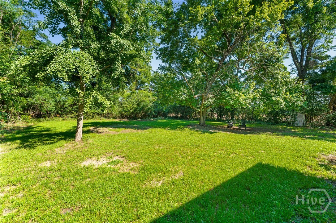 8075 Lakeview Road Statesboro, GA 30461 - Photo 72 of 72