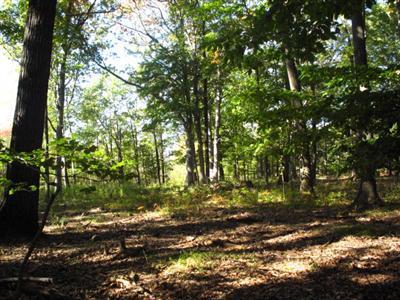 Cline Road Ravenna, MI 49451 - Photo 13 of 14 Additional Photo
