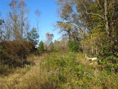 Cline Road Ravenna, MI 49451 - Photo 14 of 14 Additional Photo